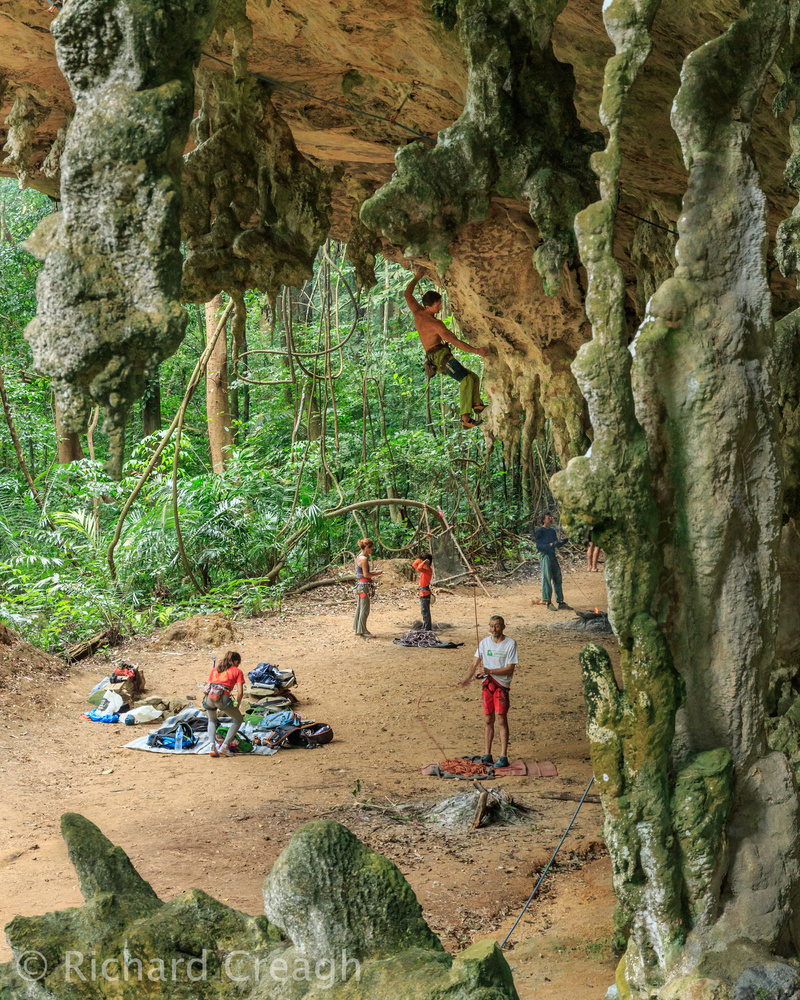Gibbon Roof - Adventure