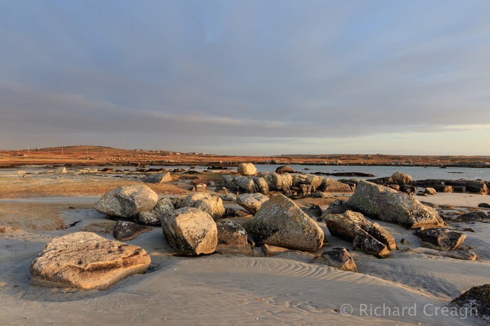 Rosadillisk - Ireland