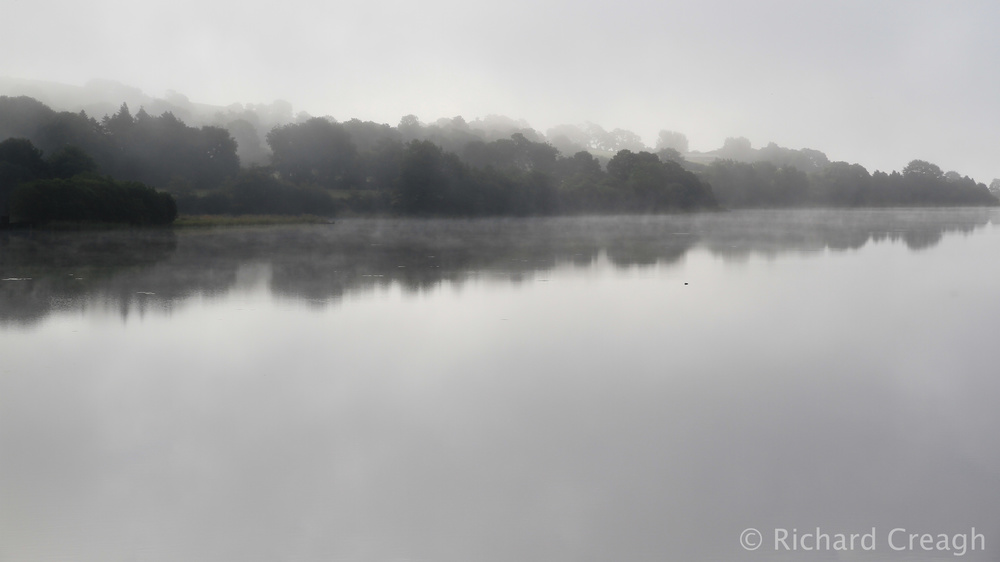 Misty River - Ireland