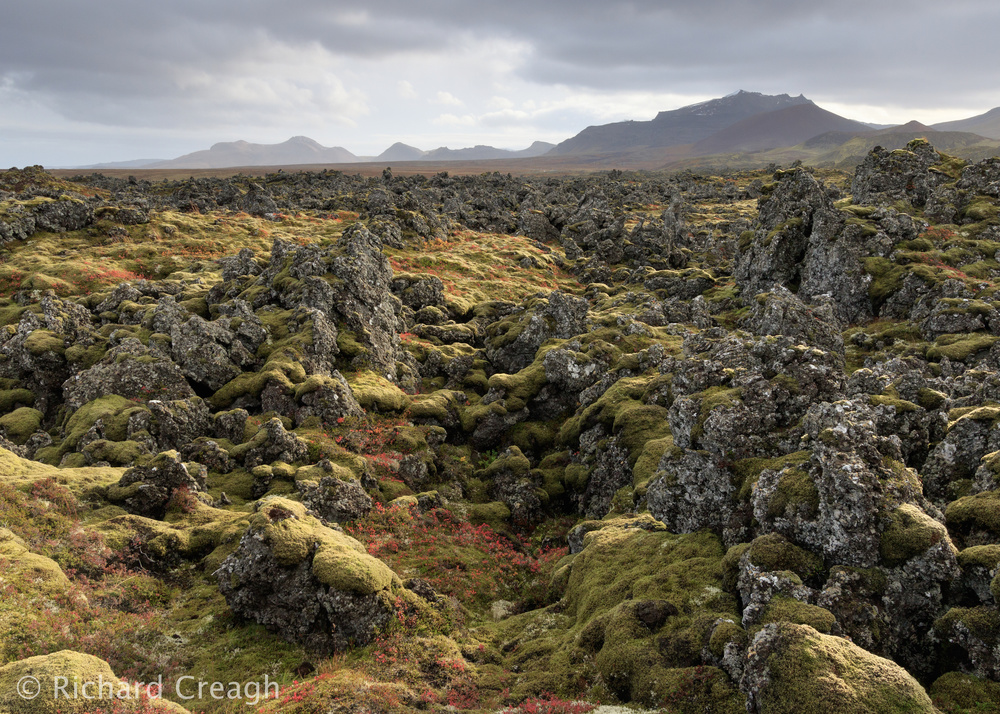 Light on Lava - Abroad