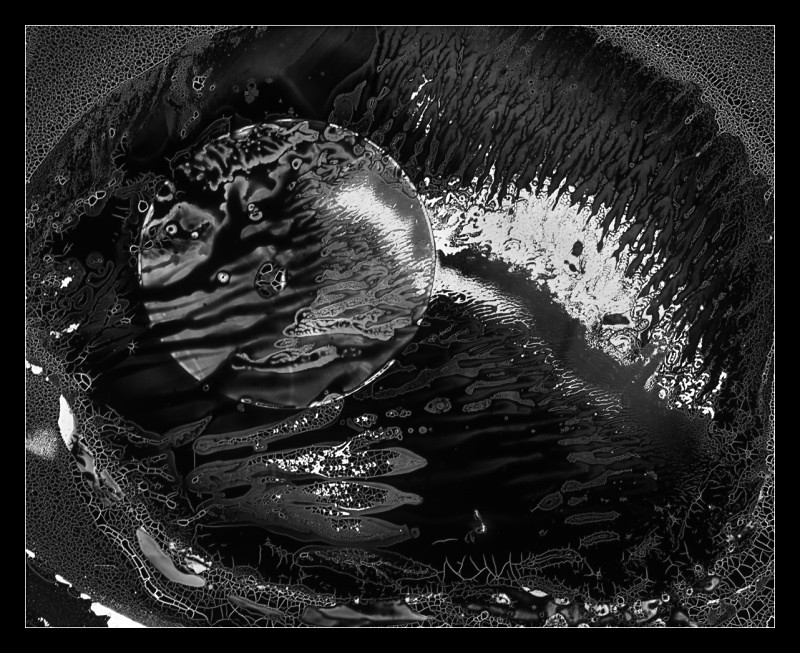 Nucleus - Cliché Verre Images