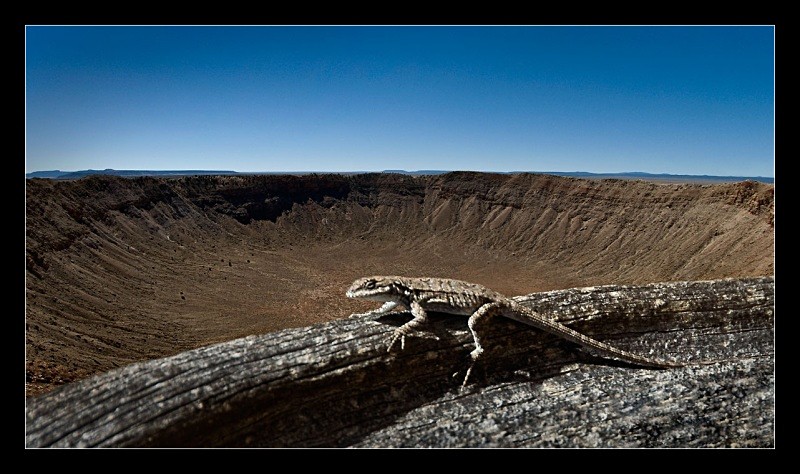 Lizard Crater - Nature