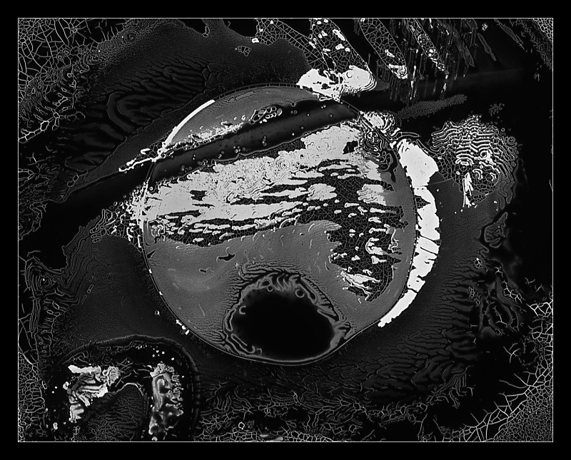 Ovum - Cliché Verre Images