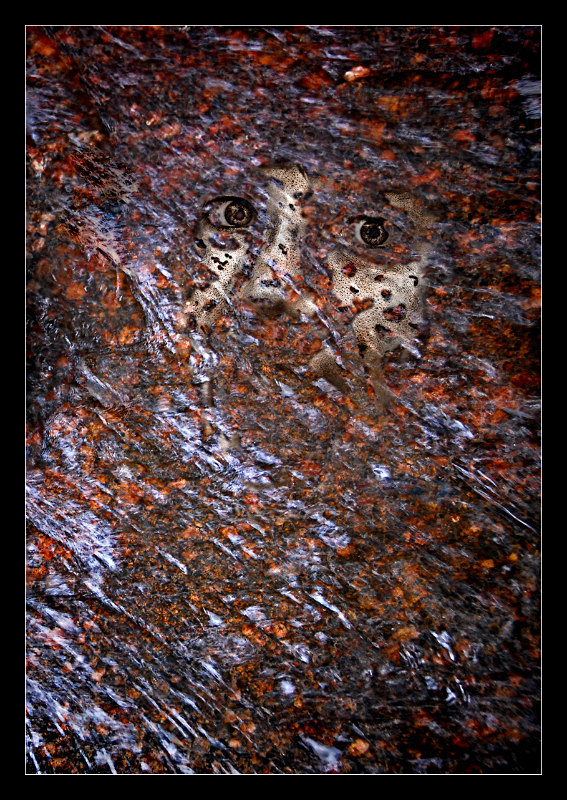 The Face in the Stream - Details