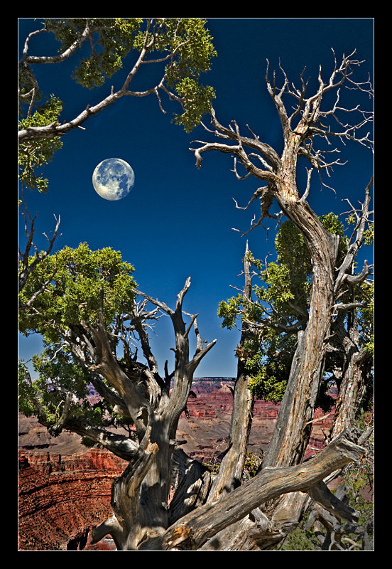 Grand Canyon Moonrise - Landscapes