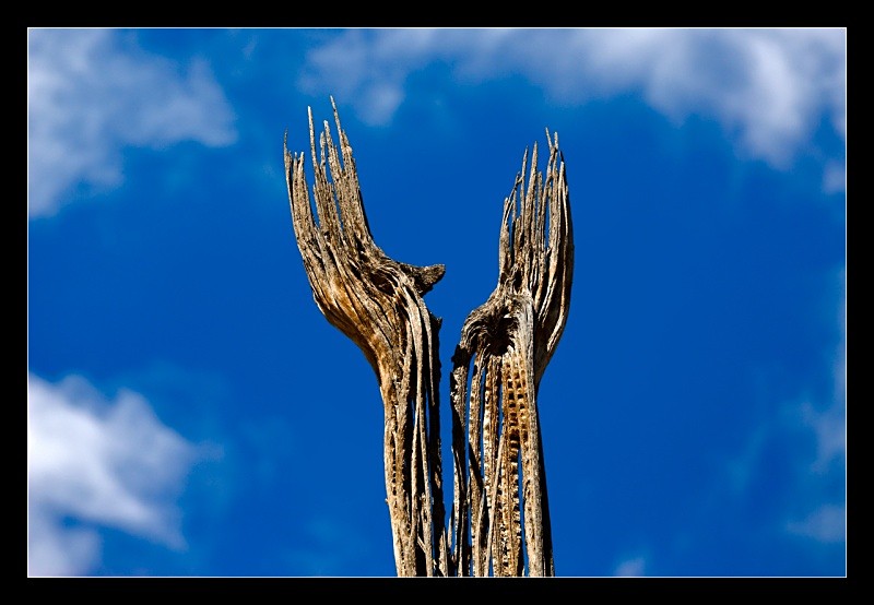 Reaching Hands - Details