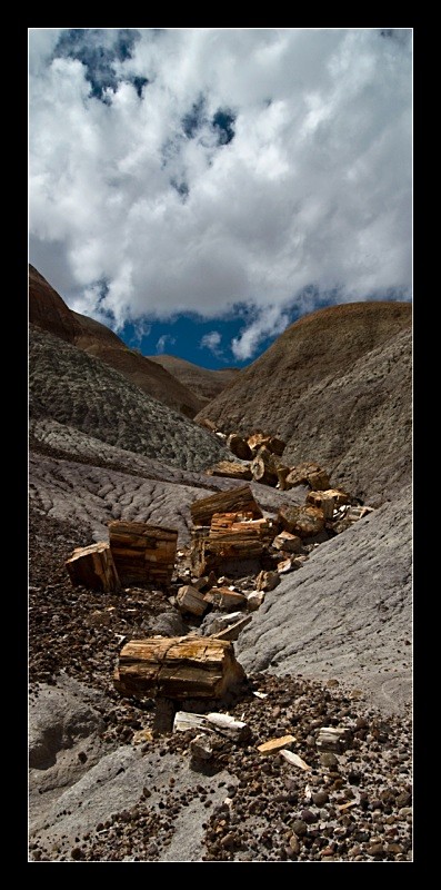 Petrified River - Landscapes