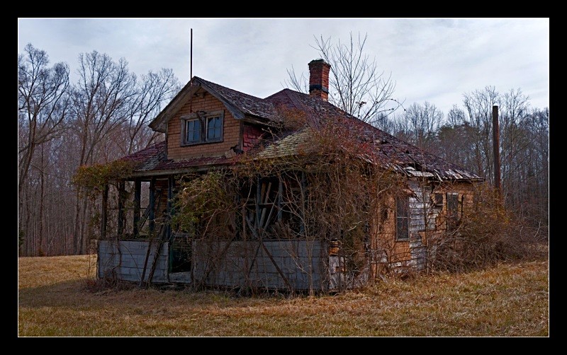 Overgrown - Architecture & Buildings