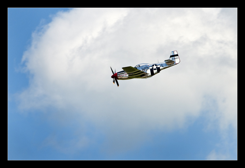 P-51D Mustang - Aircraft