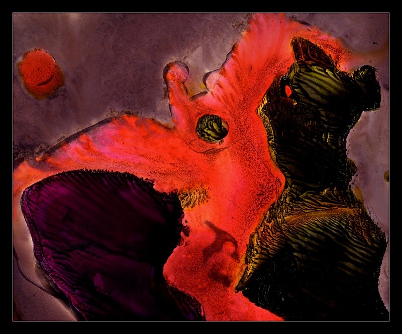 Teach Your Children - Cliché Verre Images
