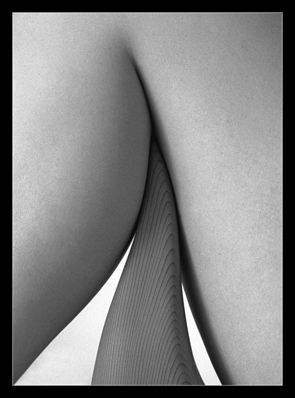 Nestled - Details