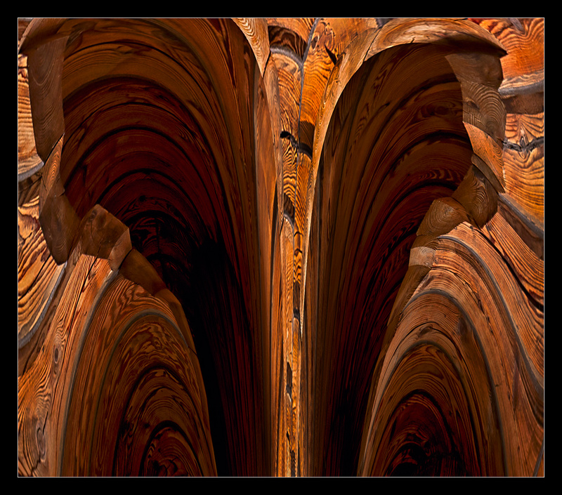 Caverns of Wood - Digital Distortion