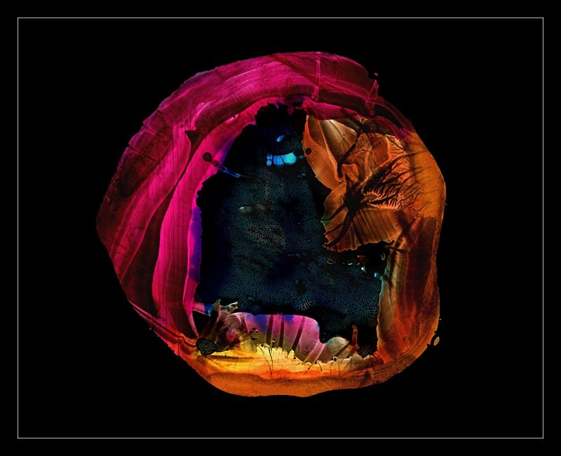 Creator - Cliché Verre Images