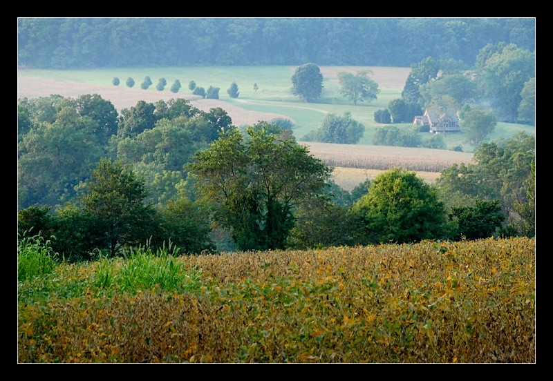 Misty Scenic - Landscapes