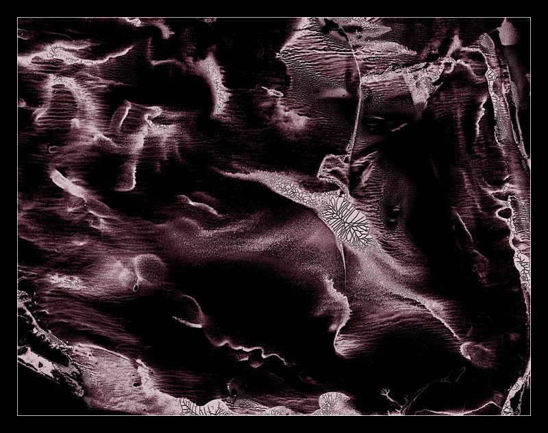 Angels - Cliché Verre Images