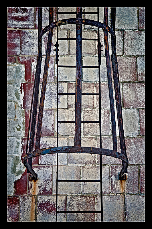 Ladder Guard - Building Elements