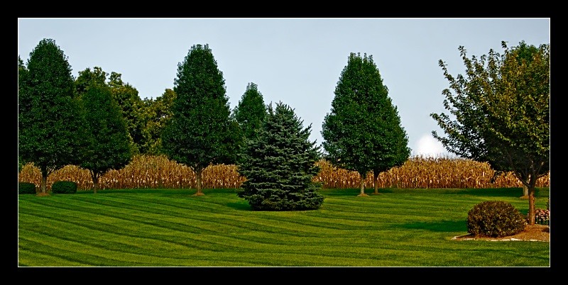 Surreal Lawnscape - Landscapes
