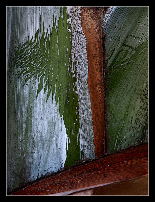 Layers of Life - Nature