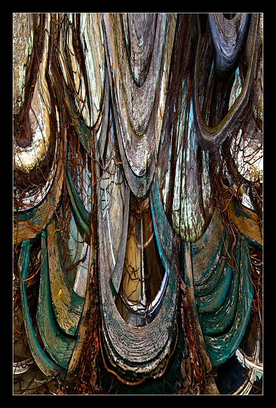 Gravity Always Wins - Digital Distortion