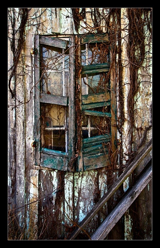 Window Vines - Building Elements