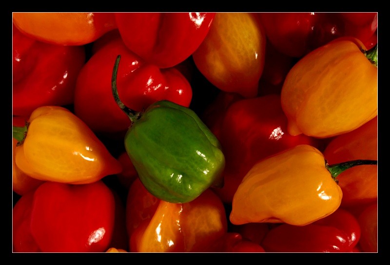 Peppers - Nature