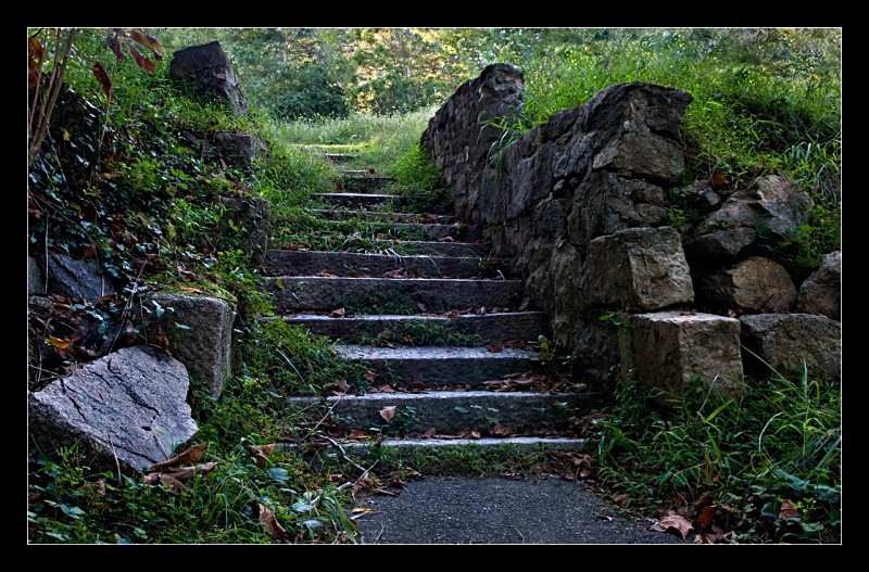 Stairs to . . . - Building Elements