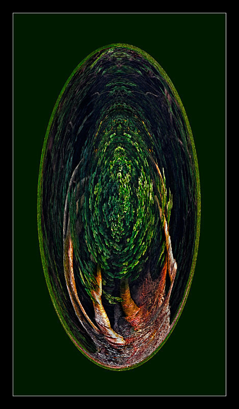 Enchanted Forest - Digital Distortion