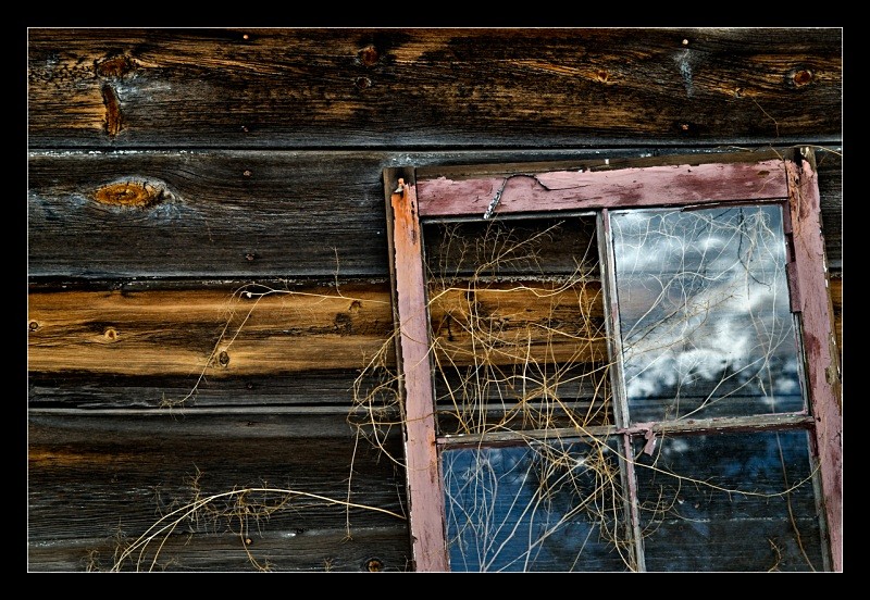 Pink Window - Details