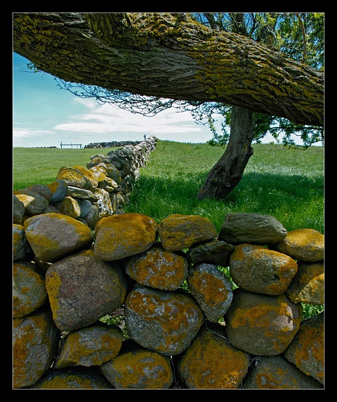 Zigzag Wall - Landscapes