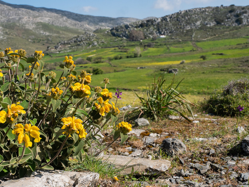  - Early Spring on Crete