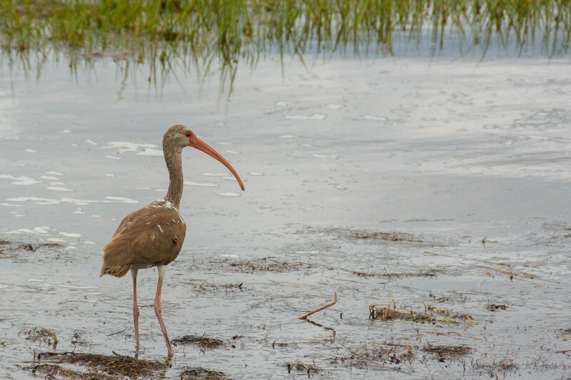  - Florida