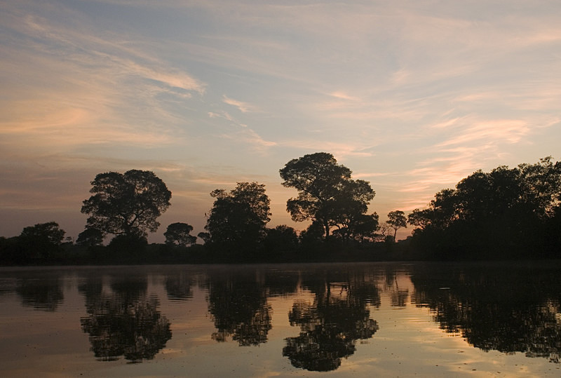  - Pristine Pantanal, Brasil