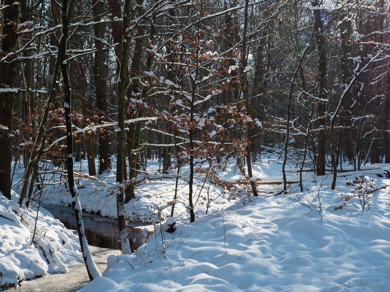  - Landscape