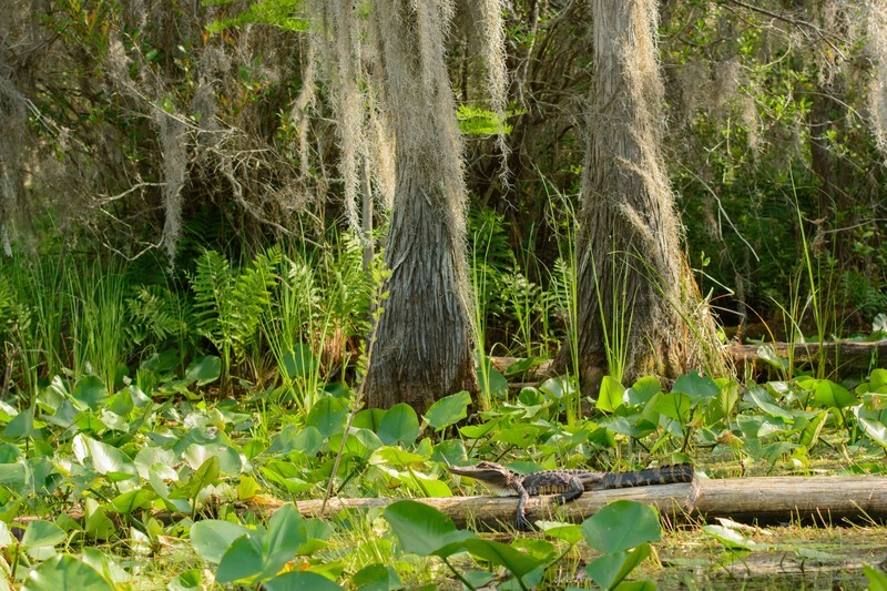  - Florida