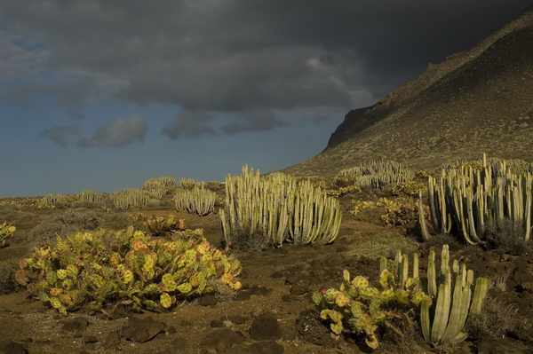 Clouds rolling in... - Impressions of Tenerife