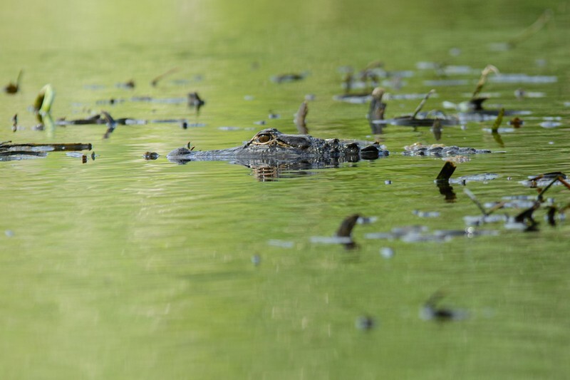  - Florida