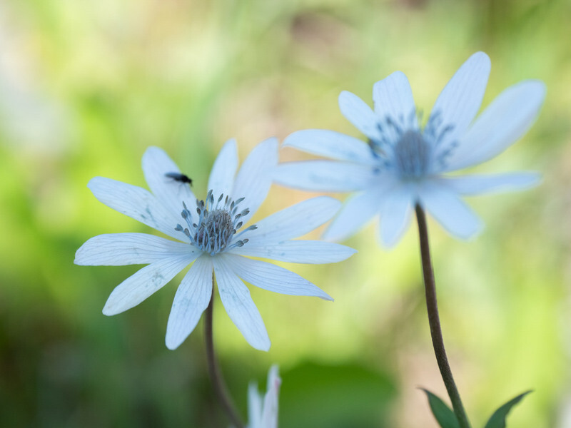  - Early Spring on Crete
