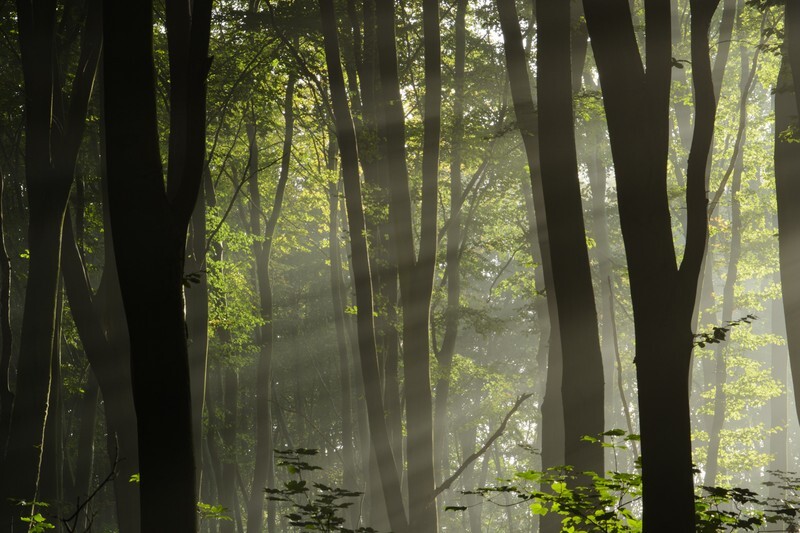  - Landscape