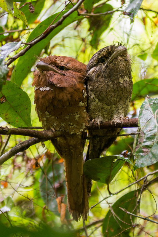  - Sri Lanka, wonderful wildlife experience.