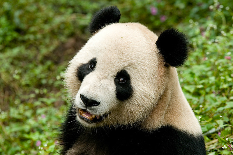  - China