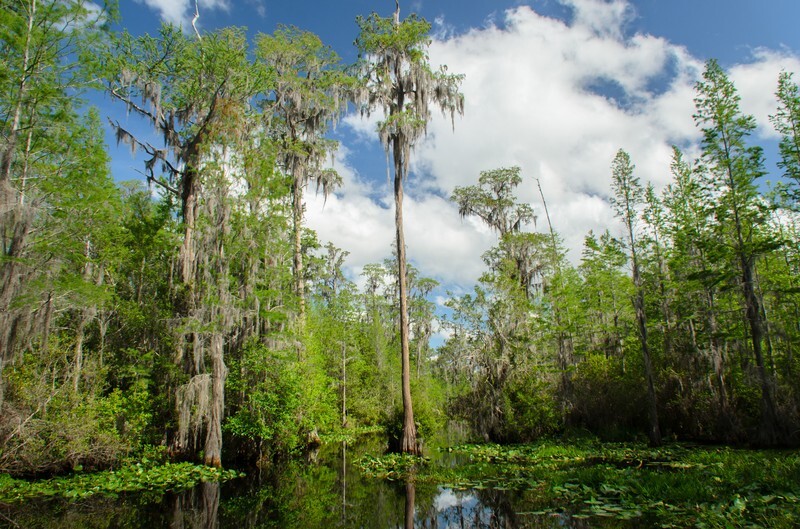 - Florida