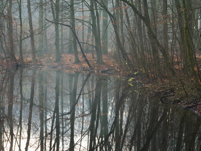  - Landscape