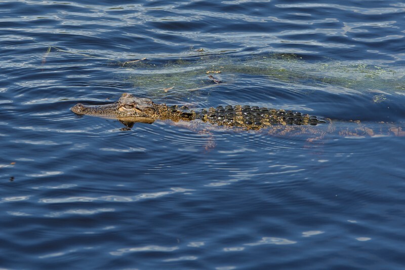  - Florida