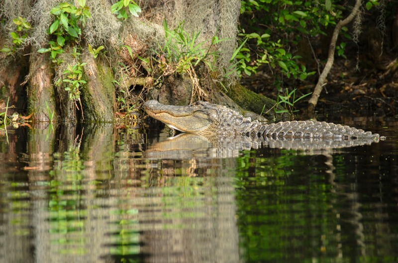  - Florida