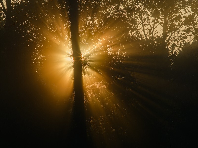  - Landscape