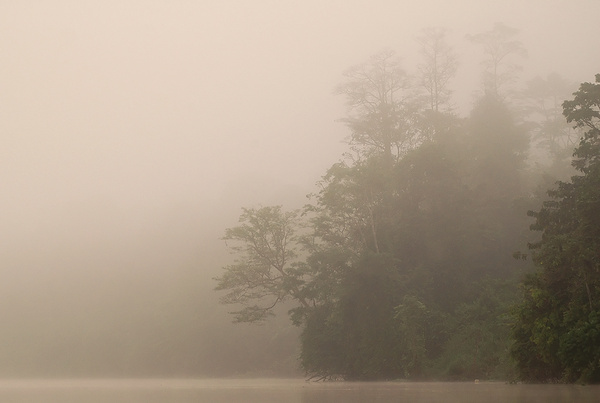 River in the clouds... - Malaysian Borneo.