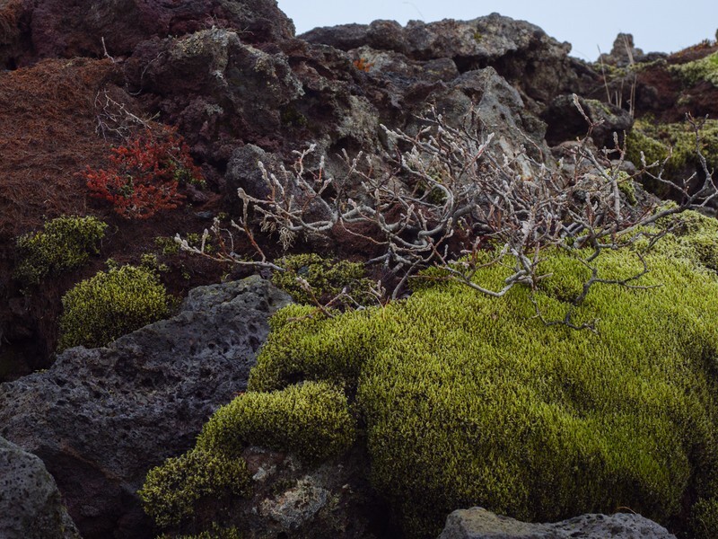  - Iceland