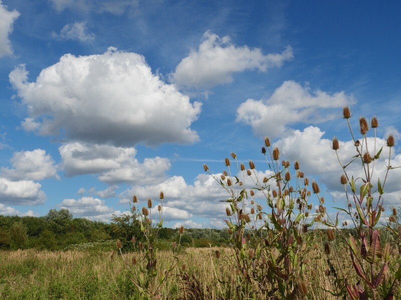  - Landscape