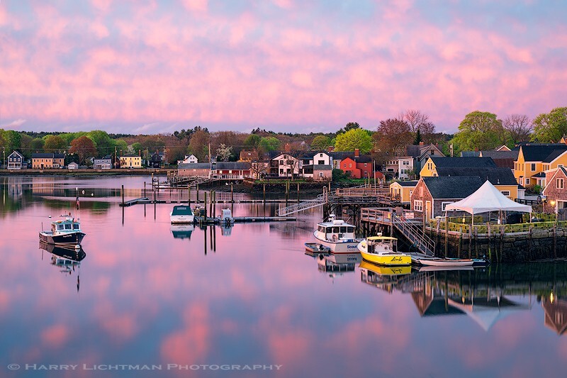 Cotton Candy - New Hampshire Seacoast