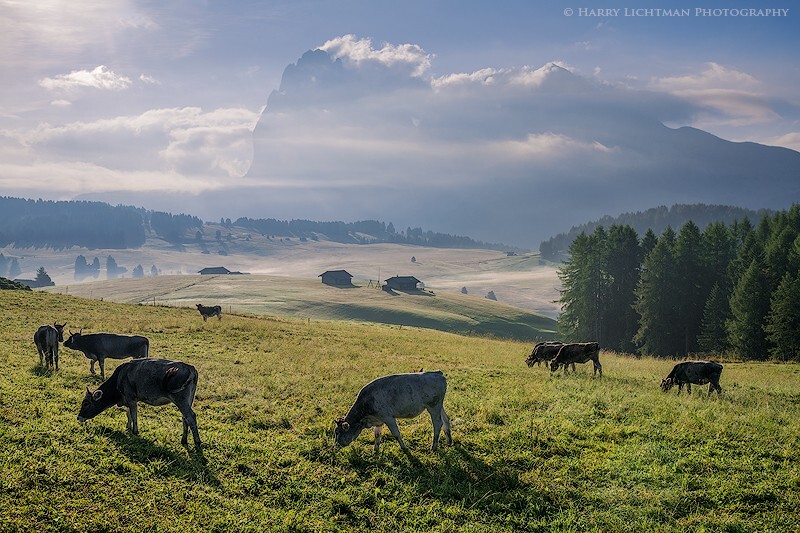Seiser Alm Dolomites - Italian Dolomites